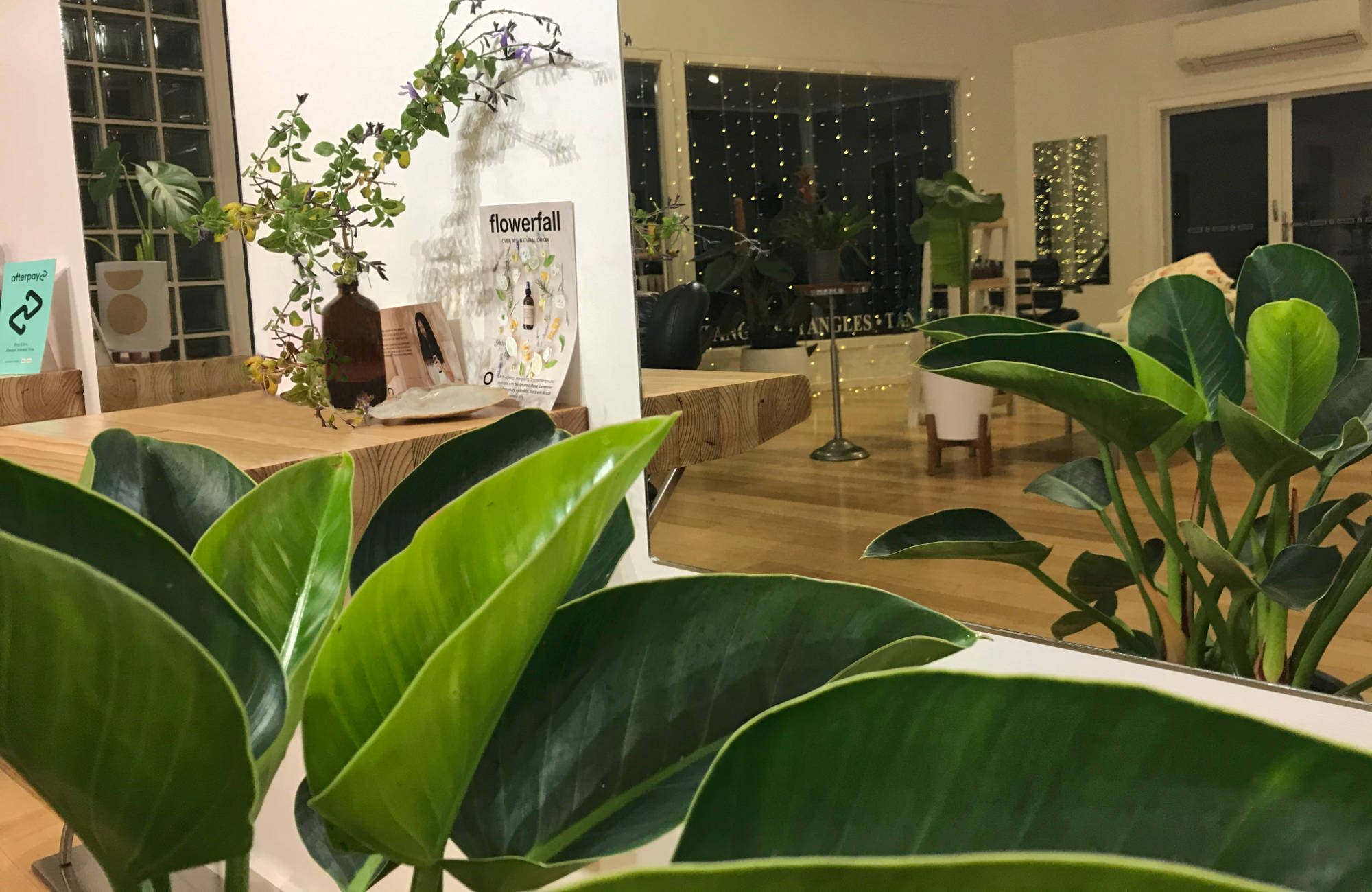 Indoor plants and hairdressing mirrors at Tangles Hair Design San Remo
