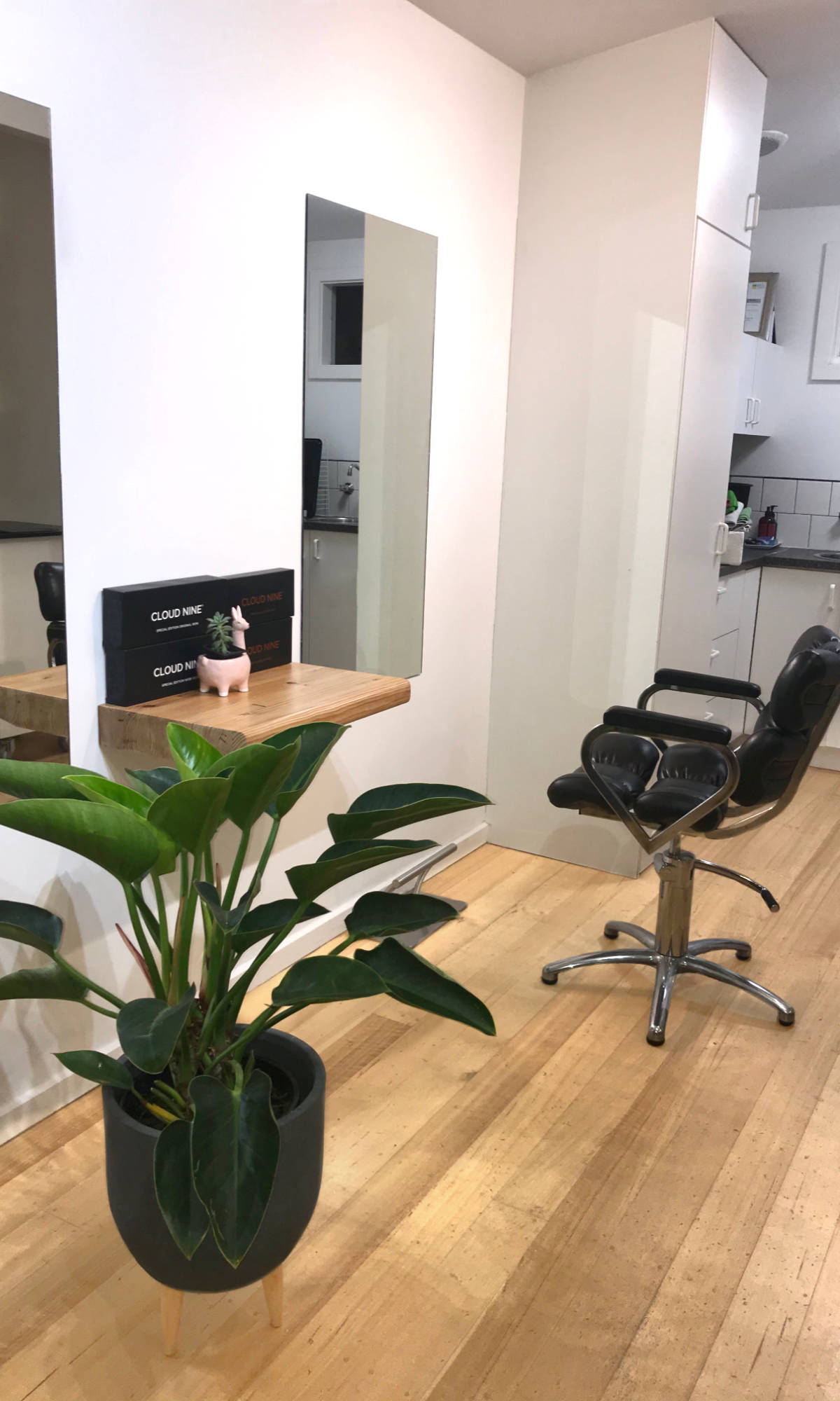 Indoor plant, mirror and hairdressing chair at Tangles Hair Design San Remo